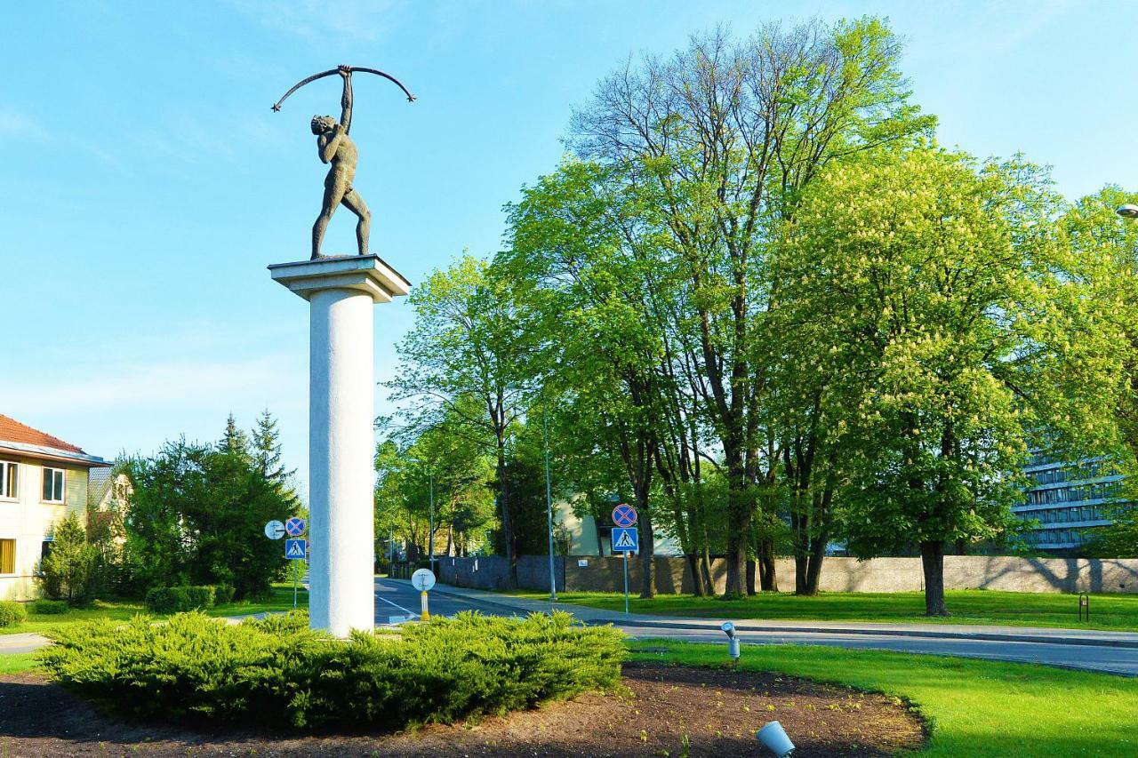 Baltieji Senamiescio Apartamentai Prie Aqua Parko Druskininkai Esterno foto